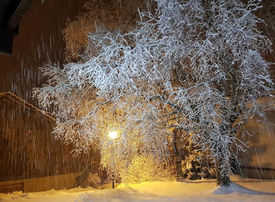 A Cordon Entre Bois Et Nature Экстерьер фото